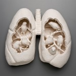 Kate MacDowell 2